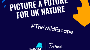 Wild Escape Creative Workshop Mixed Age